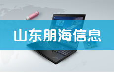 山东朋海信息科技有限公司
