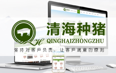清海种猪