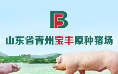青州宝丰