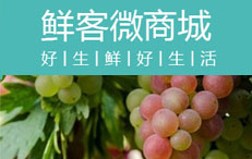 齐鲁生鲜
